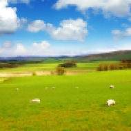 Scottish landscape in summertime